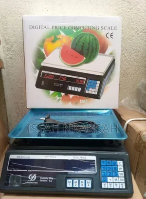 Electronic Scale