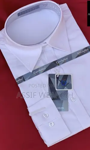 Cerrbelos Shirt