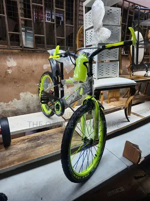 20" Mountain Bike
