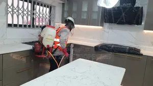 Ejisu -Juaben Fumigation Services With Cleantex