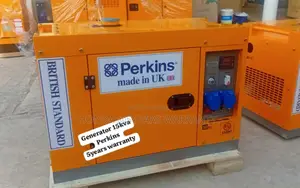 Amplify Your Energy Levels Perkins 15kva 16500watt Generator