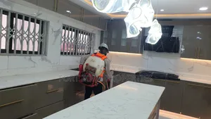Tamale Fumigation Services With Cleantex