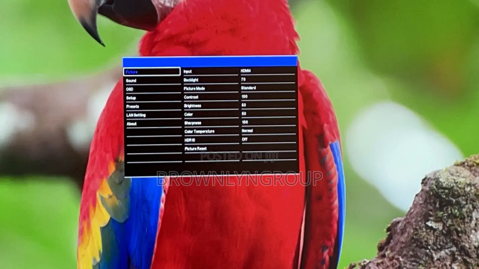55” Monitor