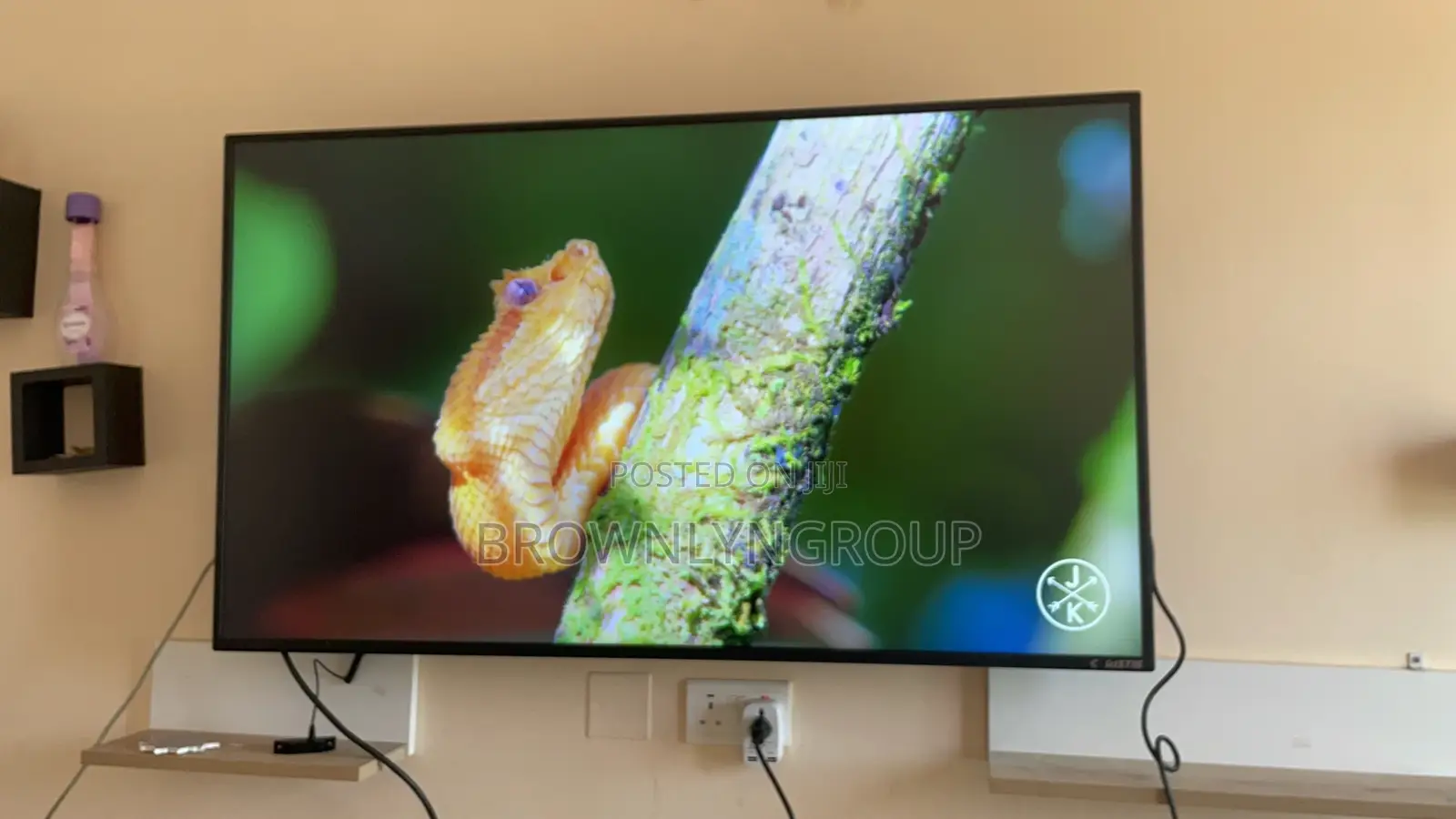 55” Monitor