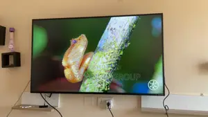 55” Monitor
