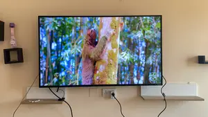 55” Monitor