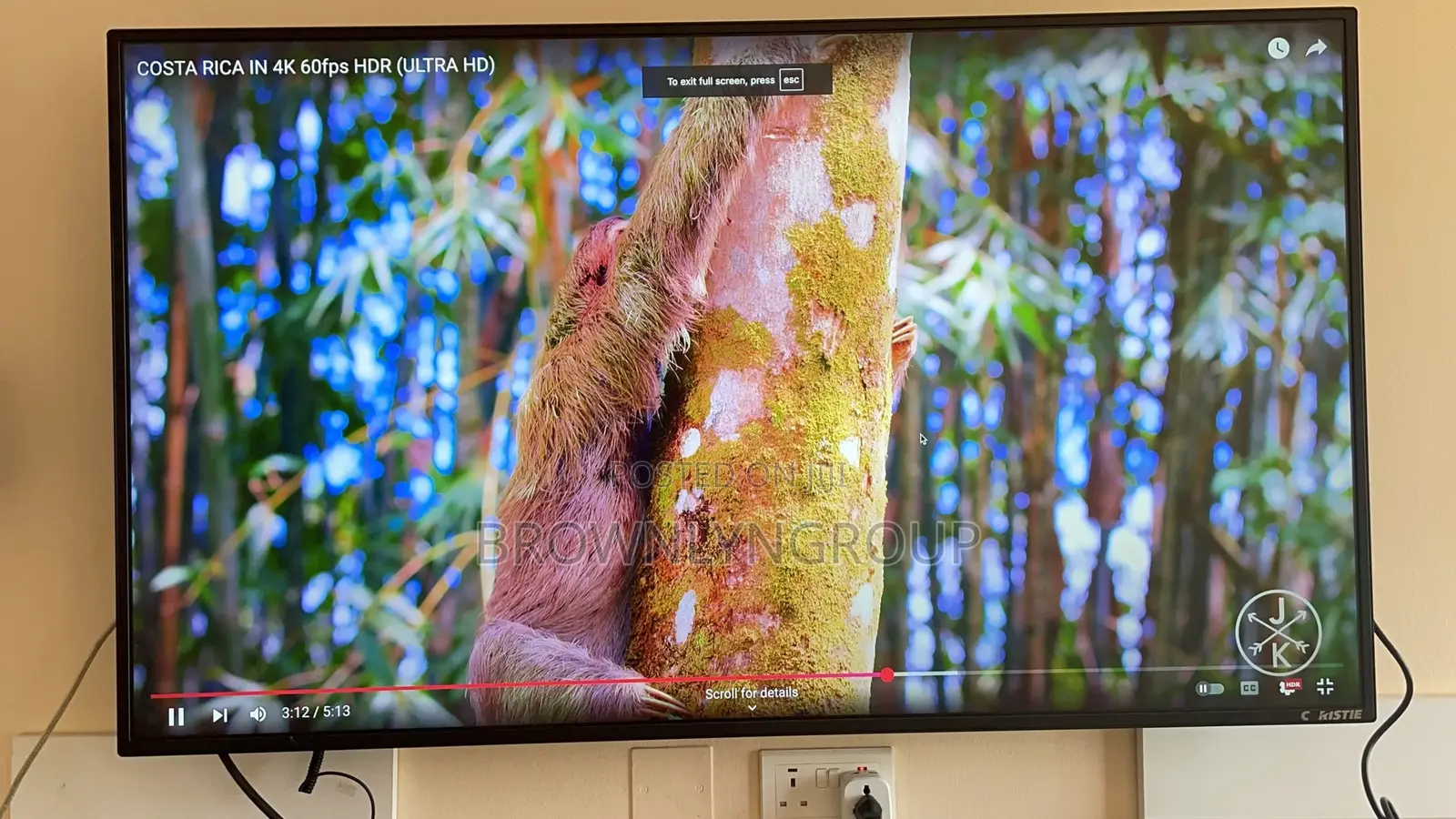 55” Monitor
