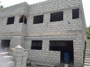 Masonry (Blocklaying, Plaste