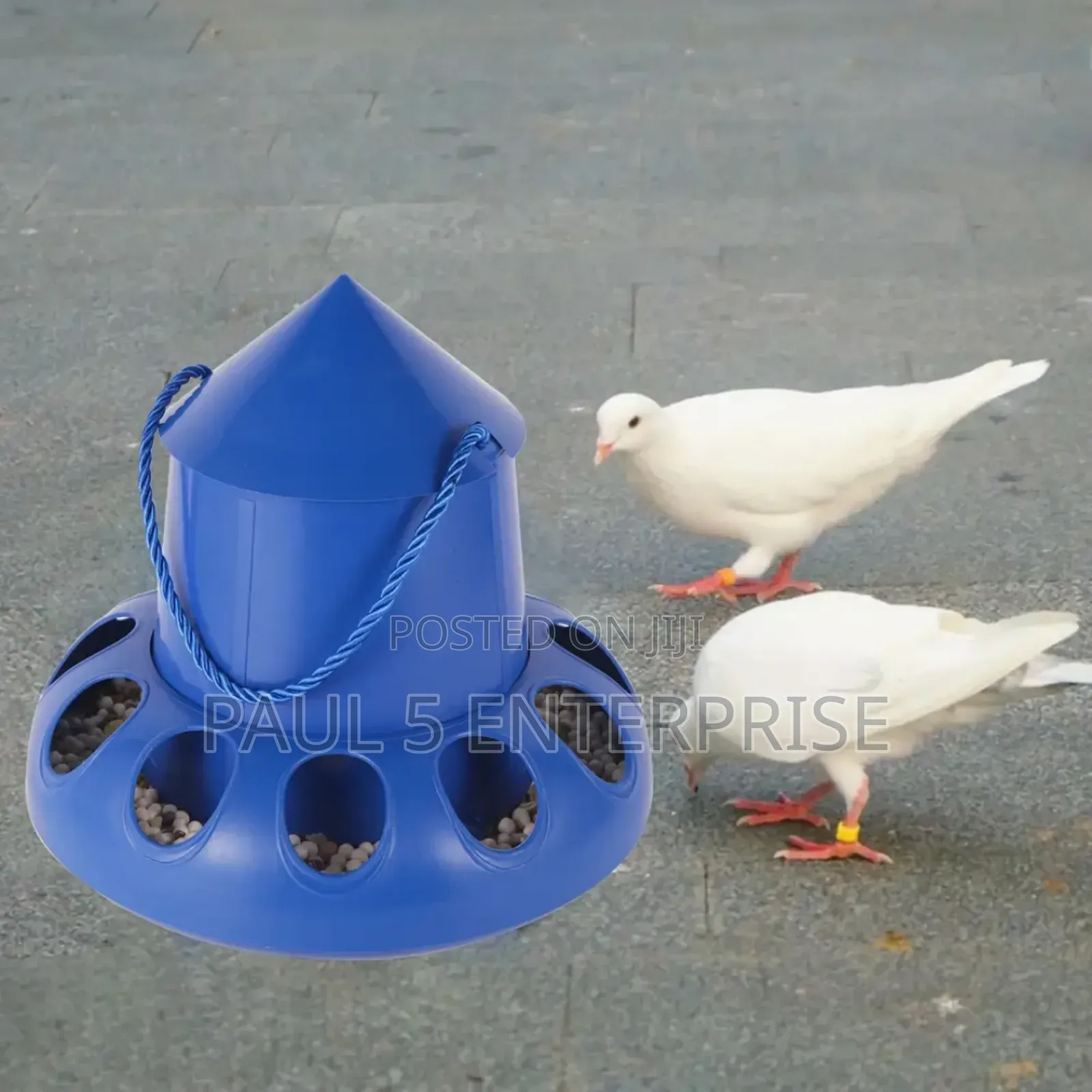 Poultry Feeder 11 Holes at Kasoa