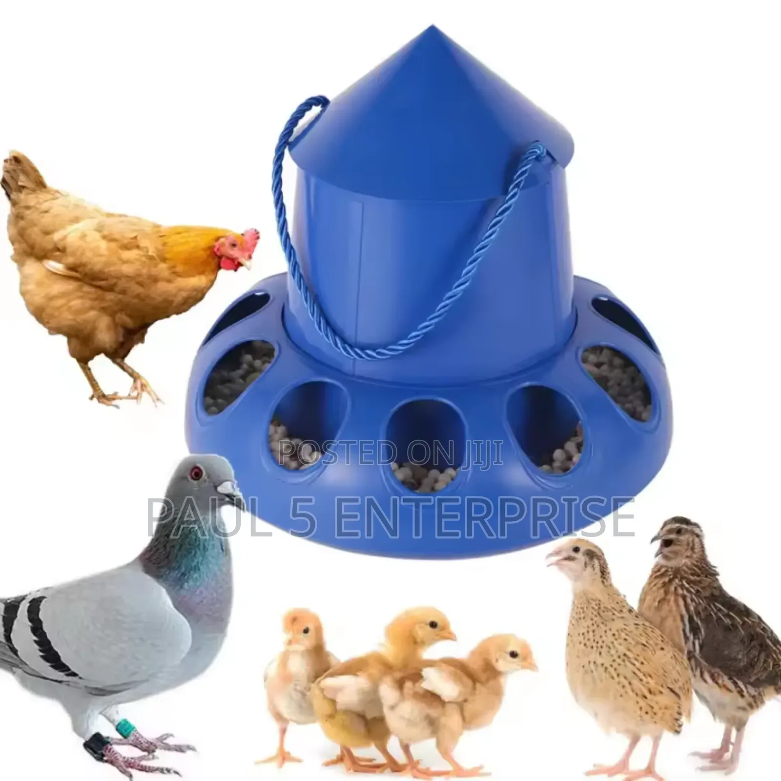 Poultry Feeder 11 Holes at Kasoa