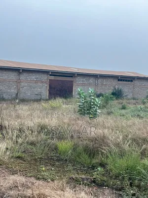 Werehouse for Sale