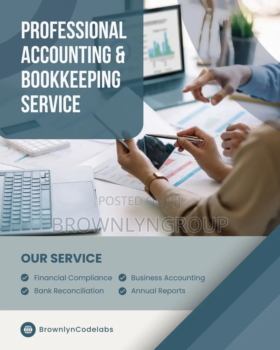Professional Accountants