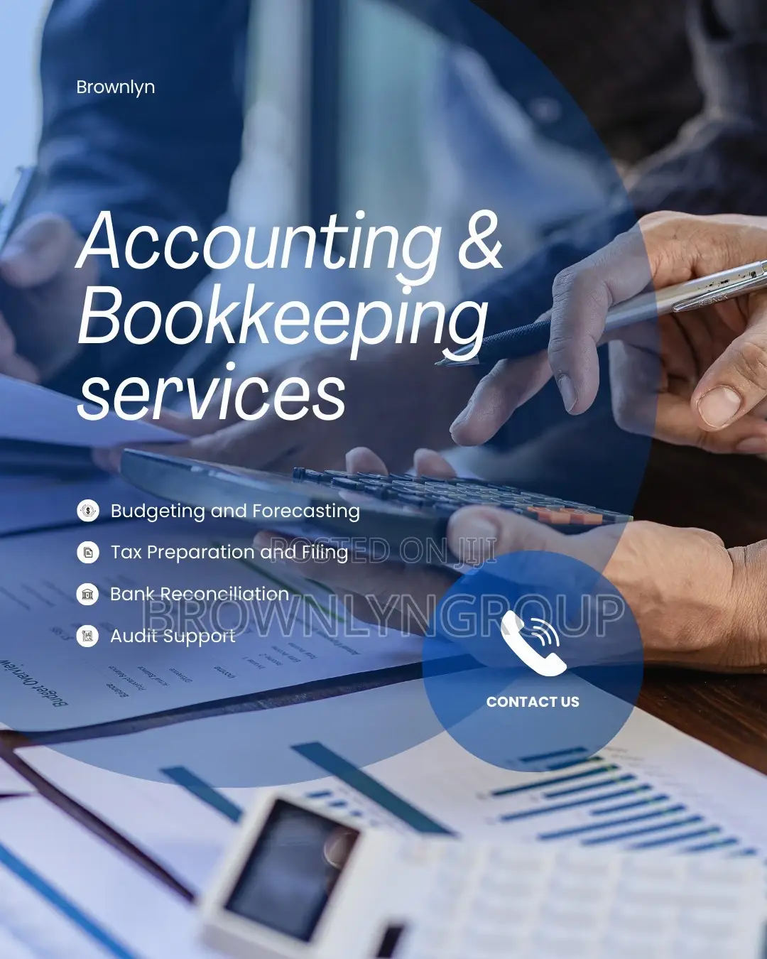 Professional Accountants