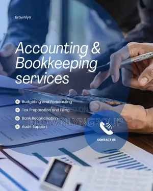 Professional Accountants