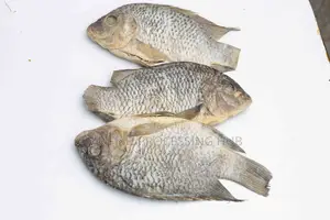 Tilapia-Koobi