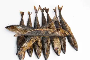 Smoke Mackerel Fish/ Otwe