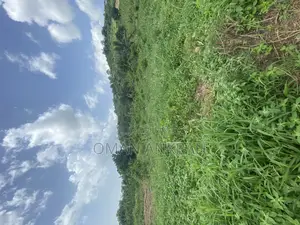 1plot of Land Mountain Top