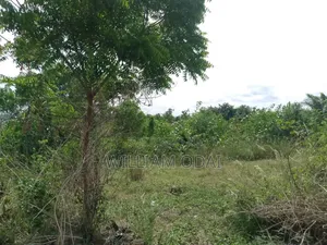 Acres Farm Lands for Sale Krabo Coaltar