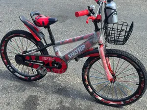 Kids Study Bike