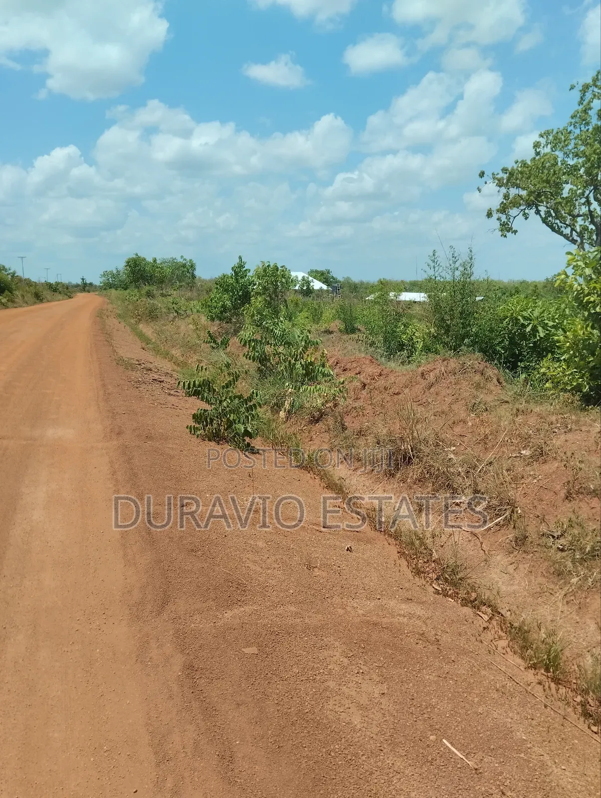 Affordable Farm Land in Nsuta