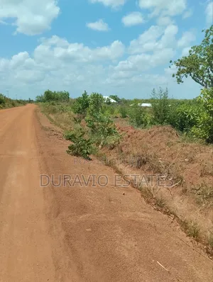 Affordable Farm Land in Nsuta