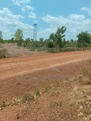 Affordable Farm Land in Nsuta