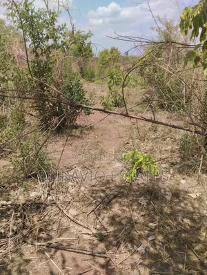 Affordable Farm Land in Nsuta