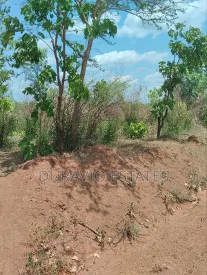 Affordable Farm Land in Nsuta