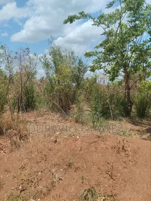Affordable Farm Land in Nsuta