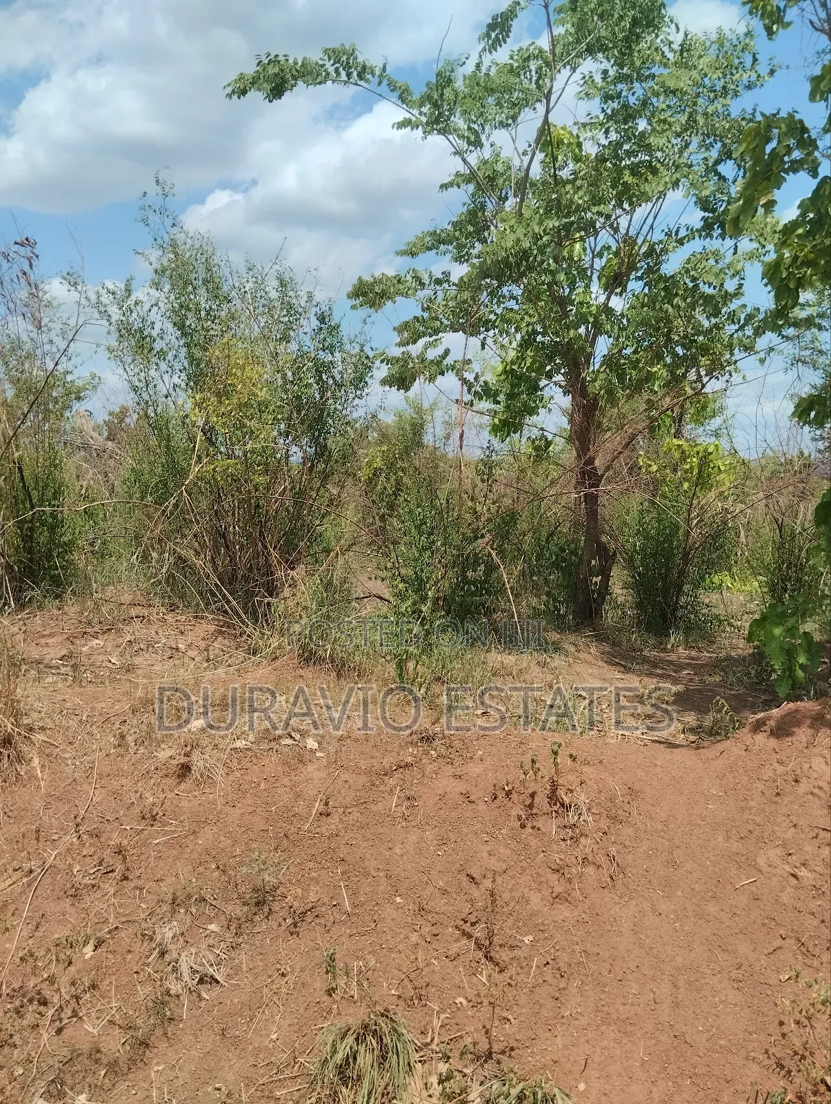 Affordable Farm Land in Nsuta