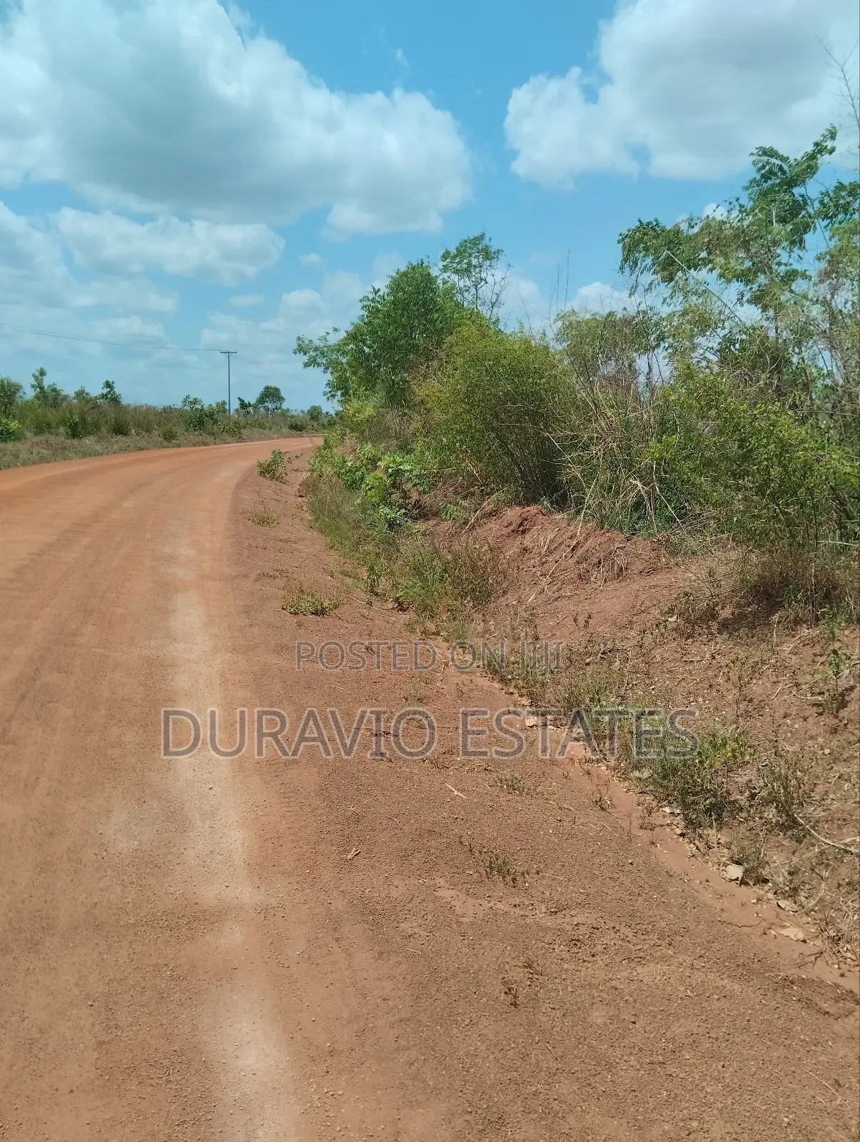 Affordable Farm Land in Nsuta