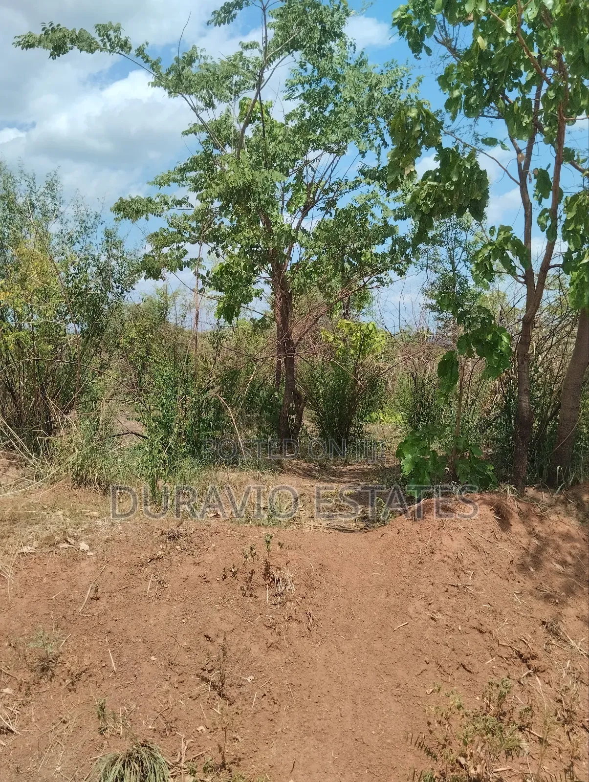 Affordable Farm Land in Nsuta