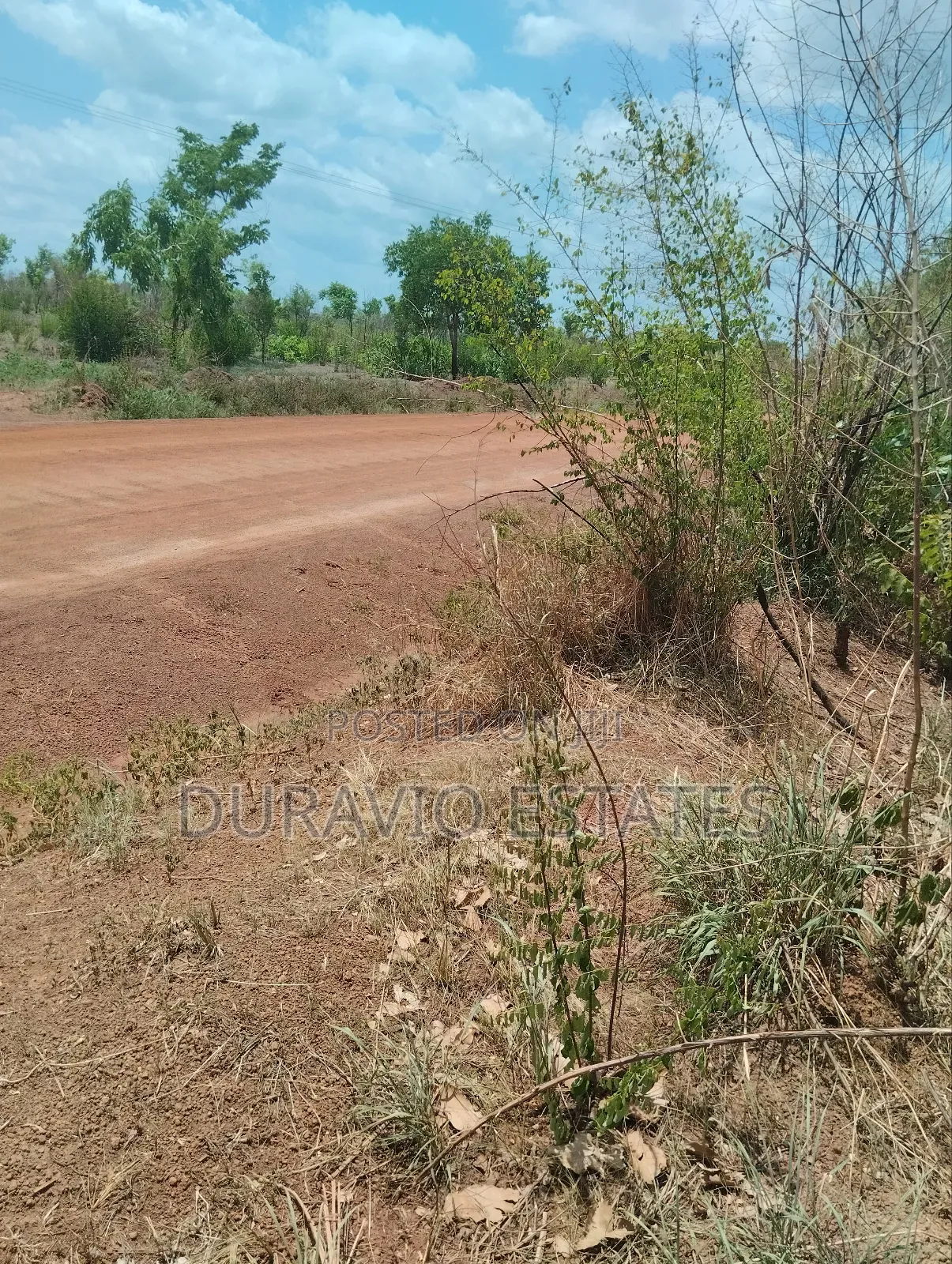 Affordable Farm Land in Nsuta