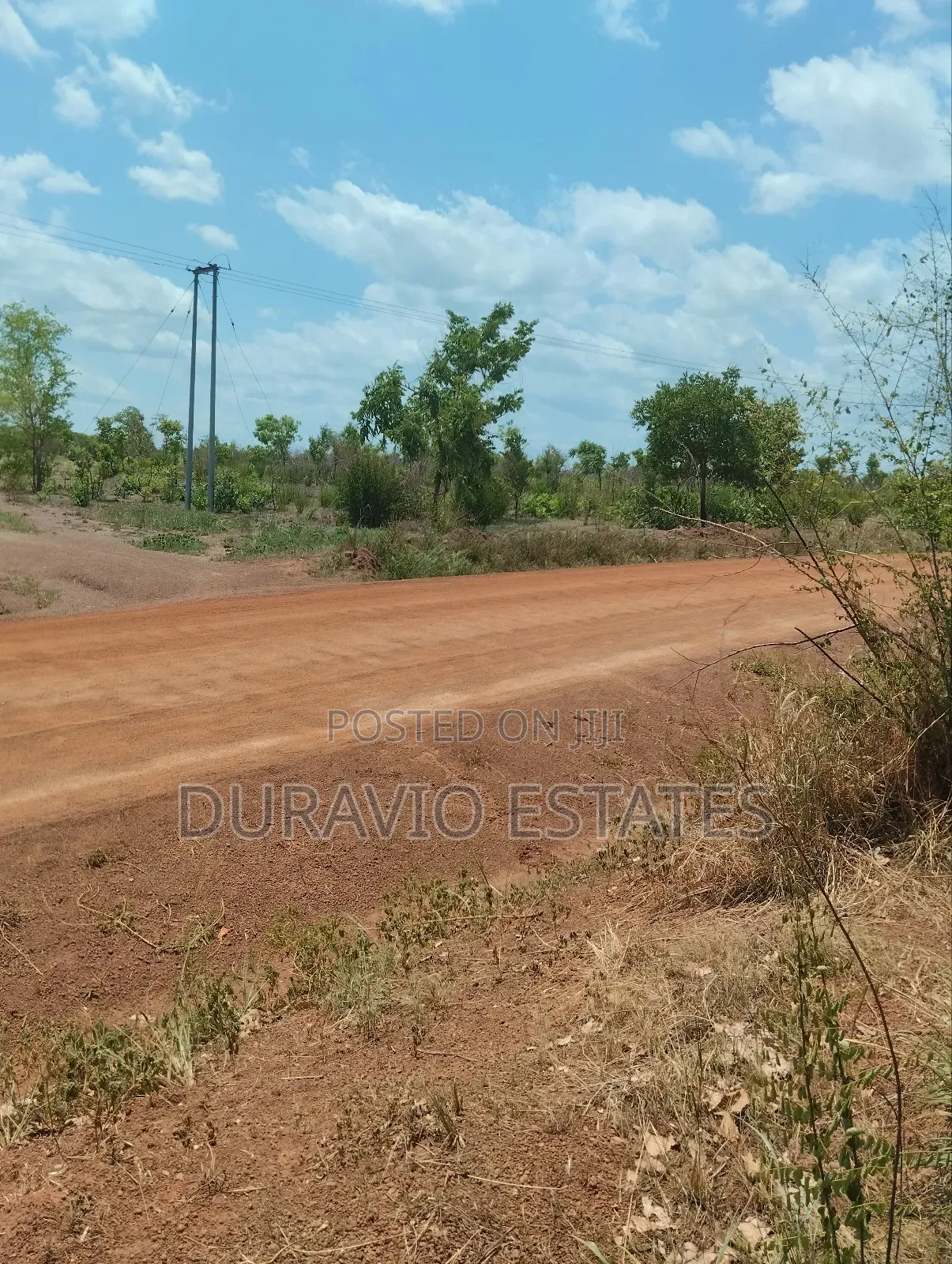 Affordable Farm Land in Nsuta