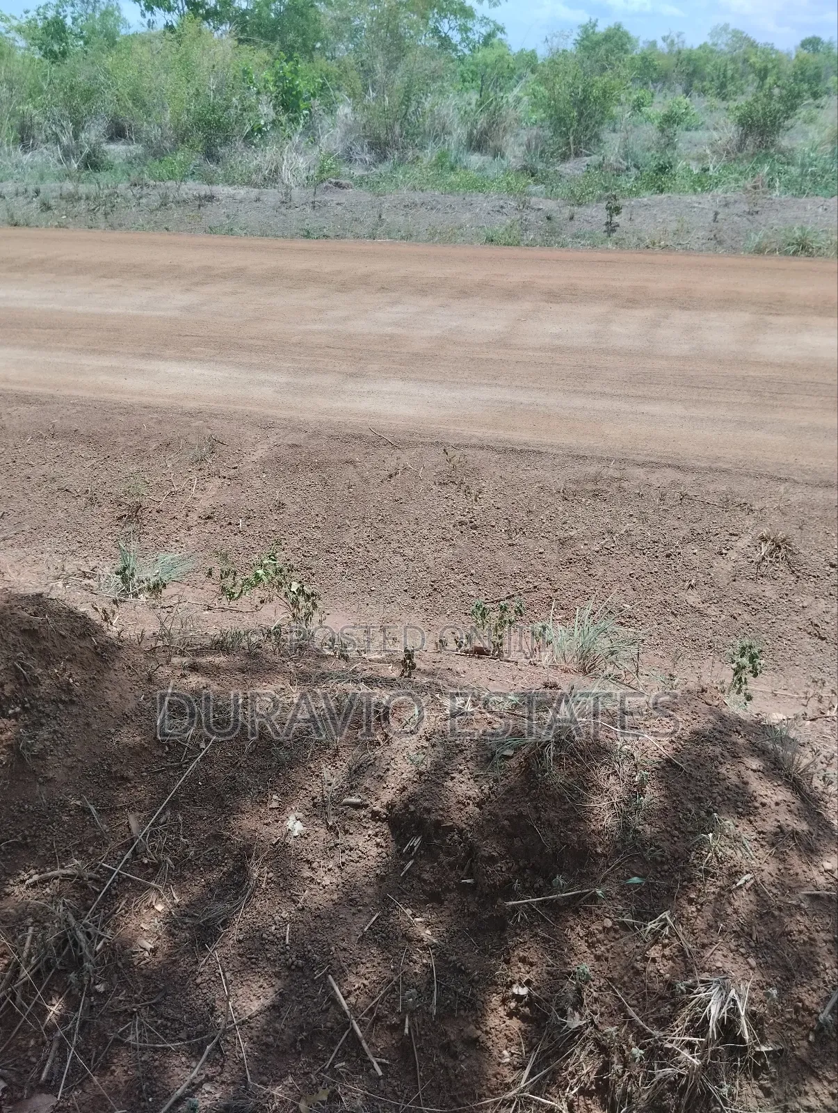 Affordable Farm Land in Nsuta