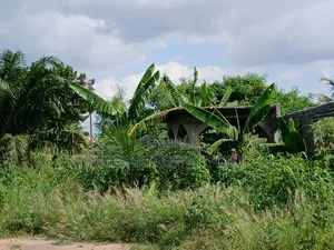 Land for Sale at Oduom on Tech Ejisu Road