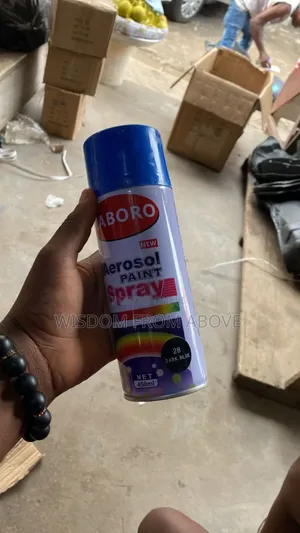 Foreign Anti Rust Oil Can Spray for Everwe Have All Colours