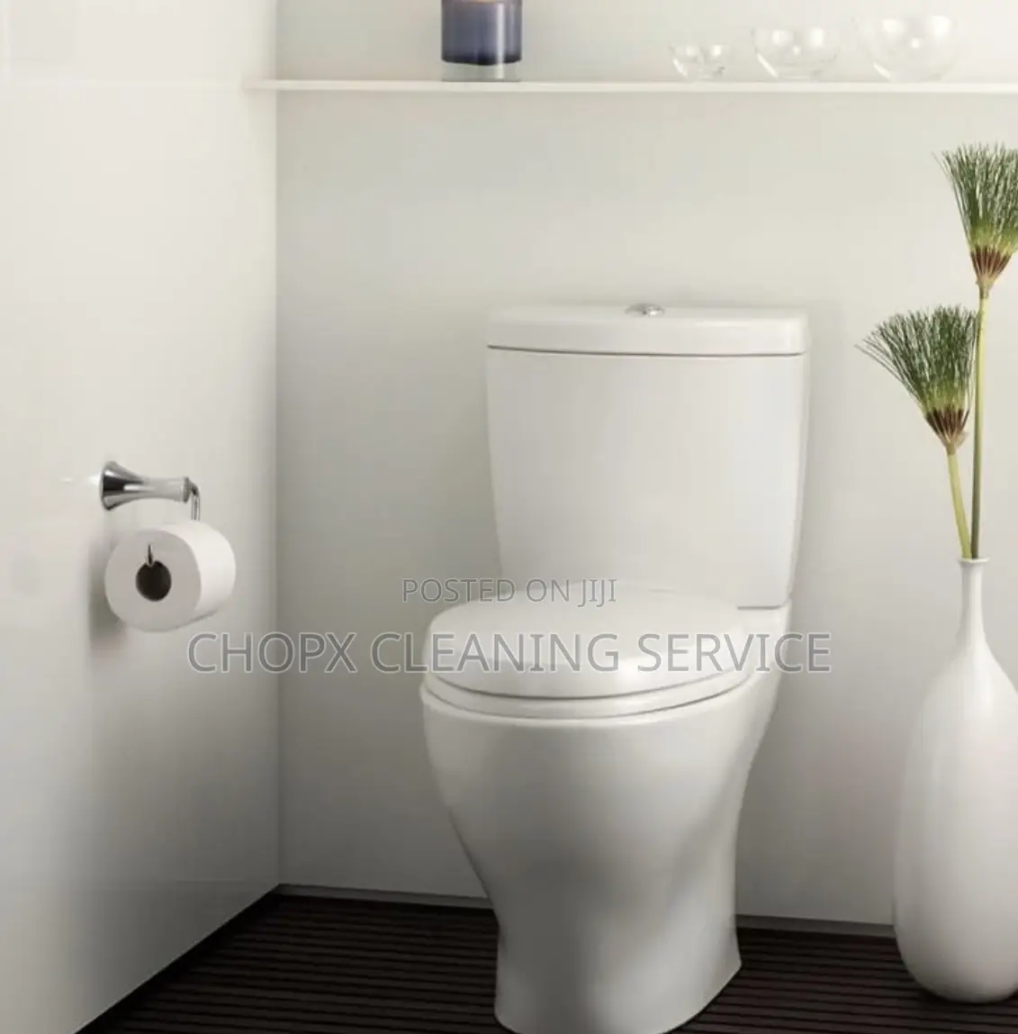 Professional Cleaning Services