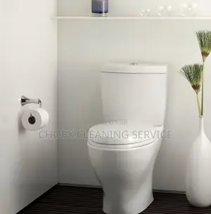 Professional Cleaning Services