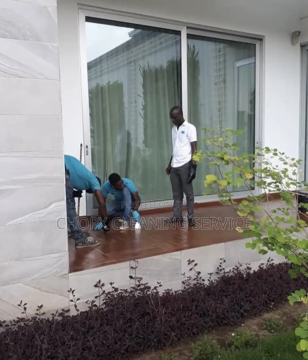 Professional Cleaning Services