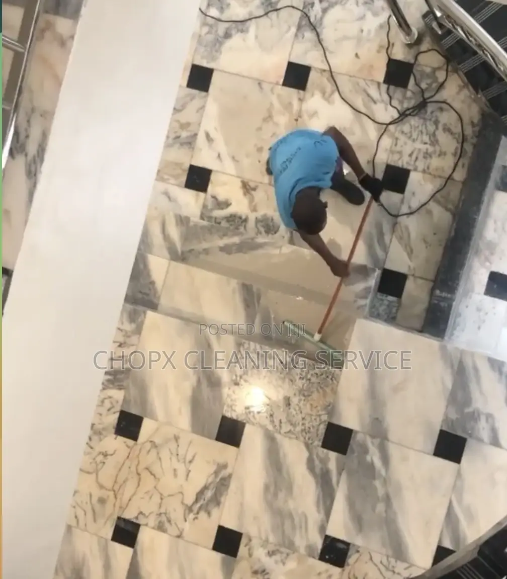 Professional Cleaning Services