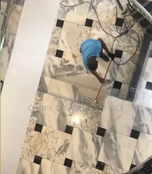 Professional Cleaning Services