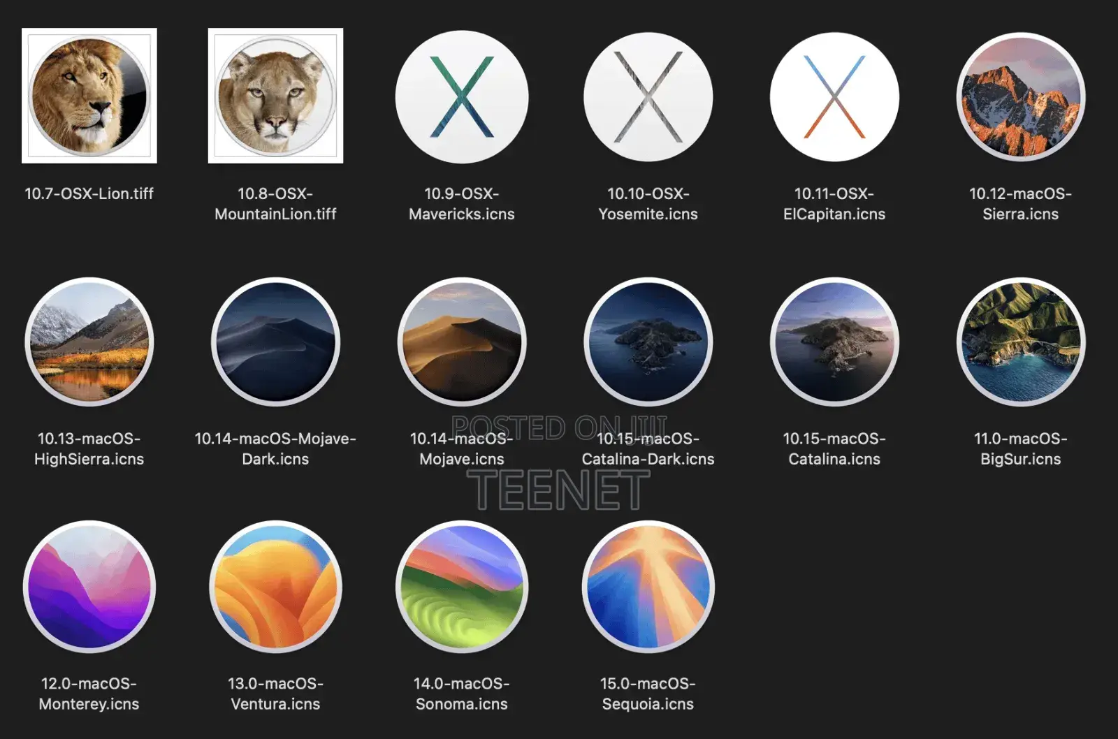 Macintosh Os Installation
