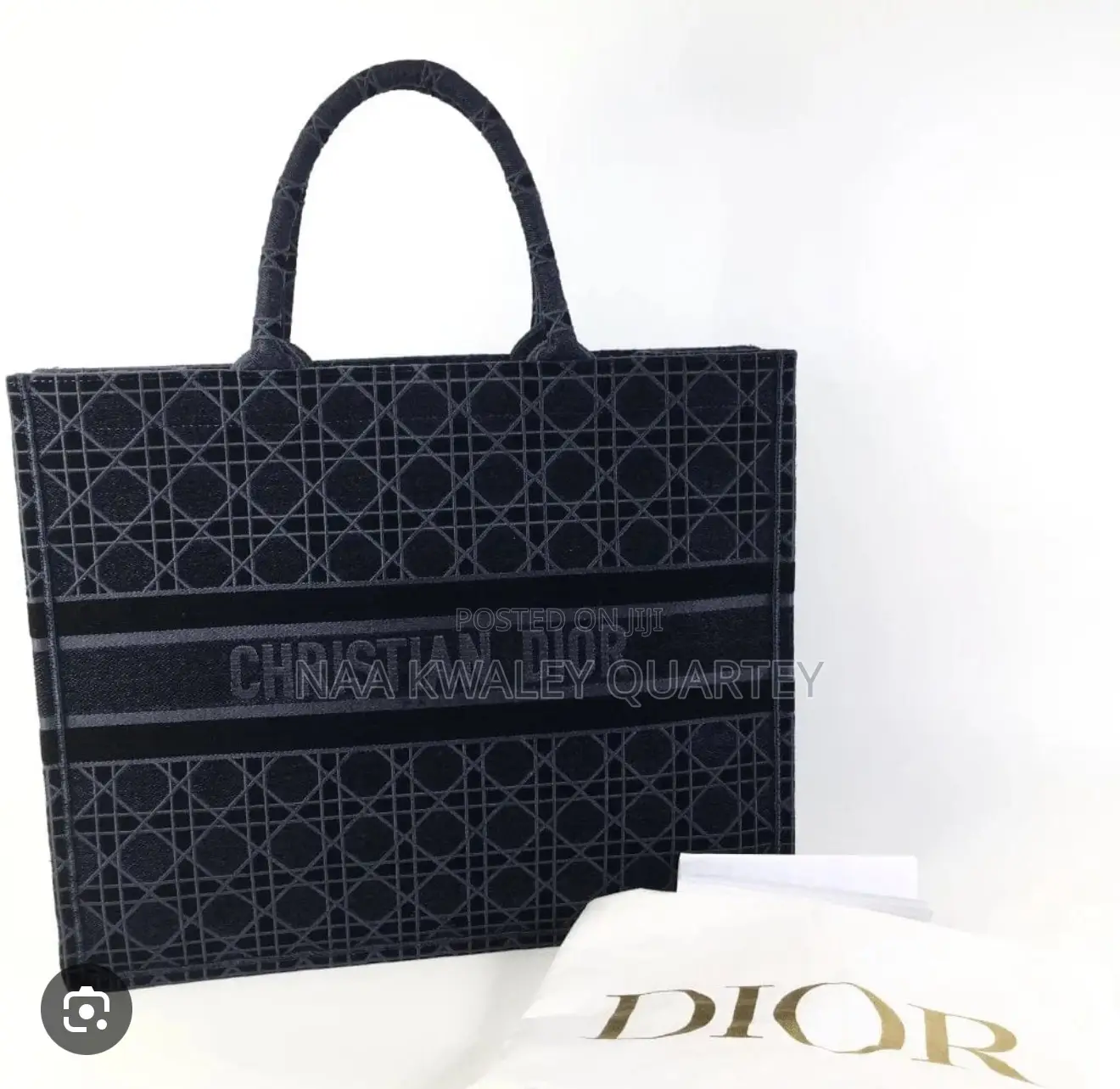 Dior Ladies Bag