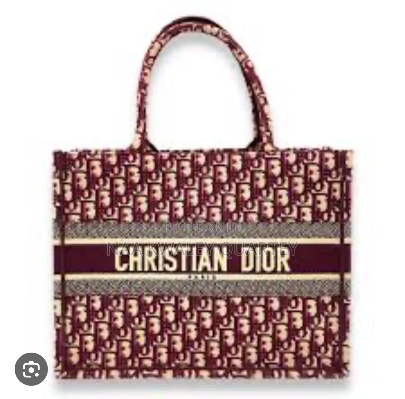 Dior Ladies Bag