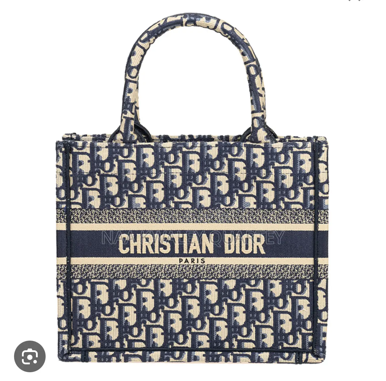 Dior Ladies Bag