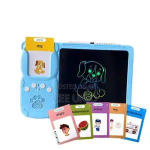 Flash Card Reader With LCD Writing Tablet