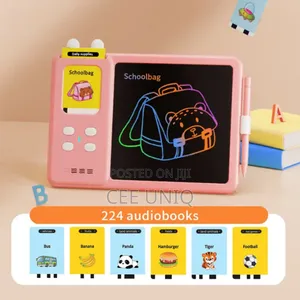 Flash Card Reader With LCD Writing Tablet