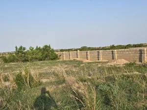 Well Serviced Half Plot! Litigation Free at Prampram