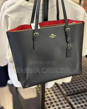 Coach Ladies Luxury Bag5789